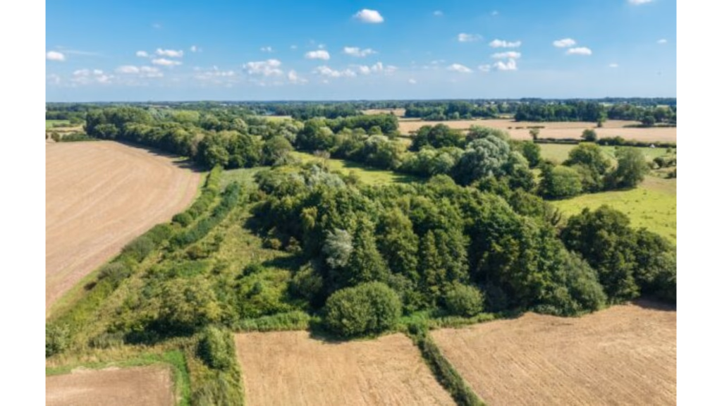 Land for sale - Image 2