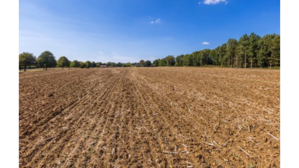 Land for sale - Image 3