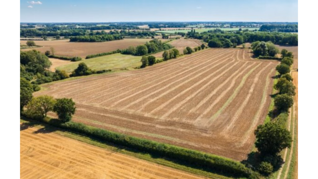 Land for sale - Image 5