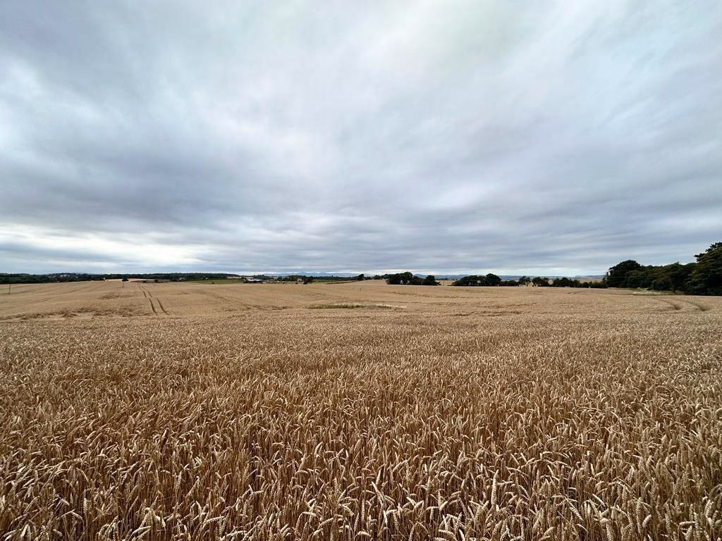 Farm land for sale - Image 1