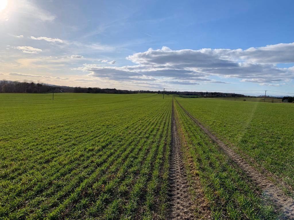 Farm land for sale - Image 2