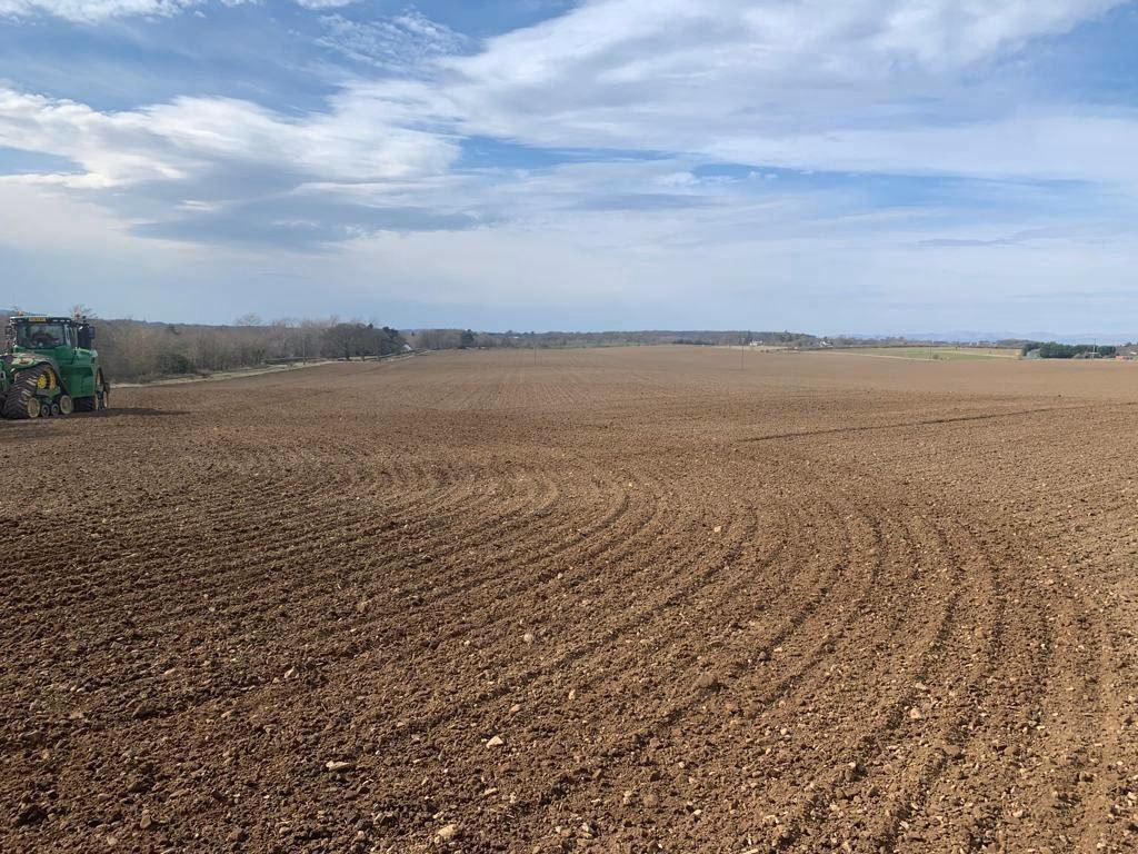 Farm land for sale - Image 4