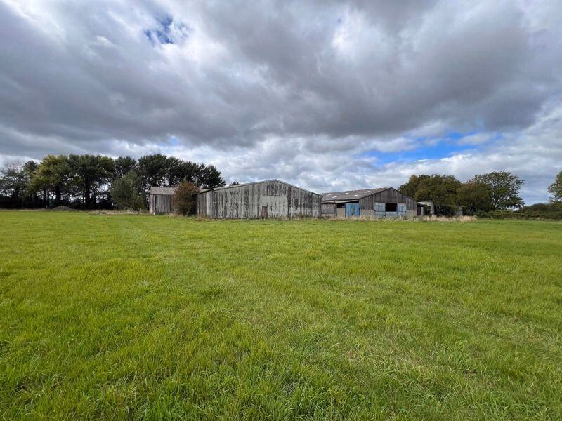 Farm land for sale - Image 3