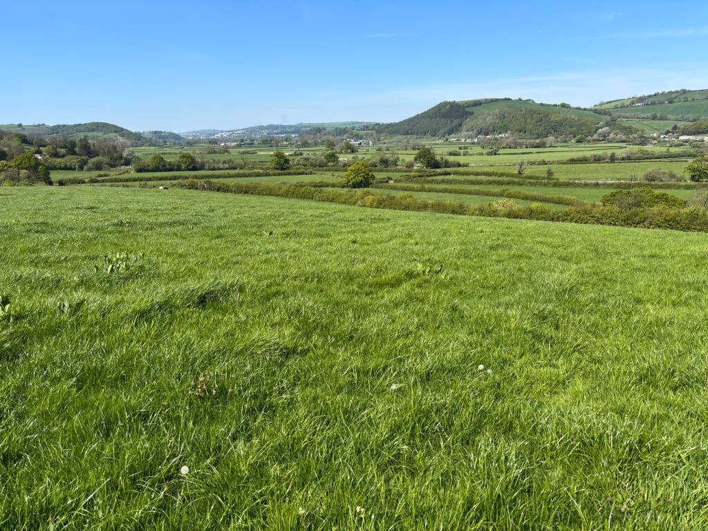 Farm land for sale - Image 1