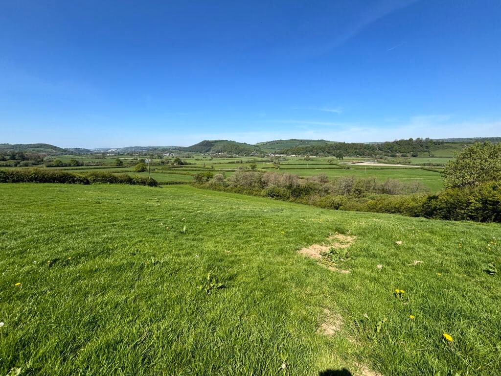 Farm land for sale - Image 2