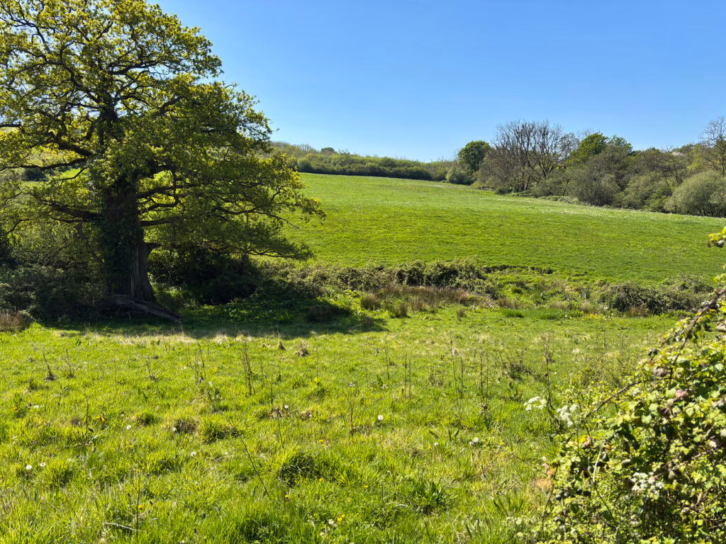 Farm land for sale - Image 3