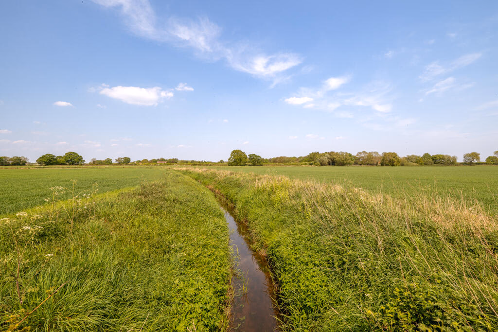 Farm land for sale - Image 5