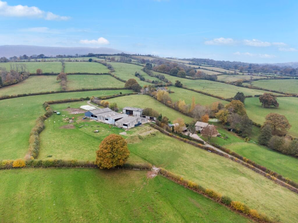 Farm land for sale - Image 2