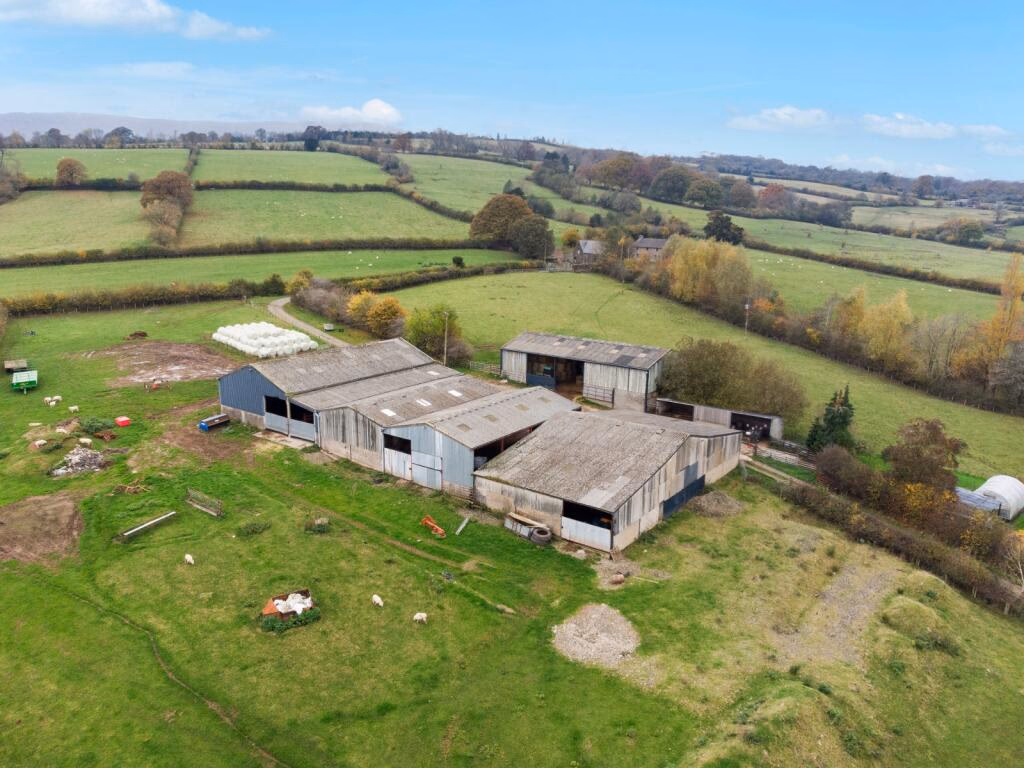 Farm land for sale - Image 3