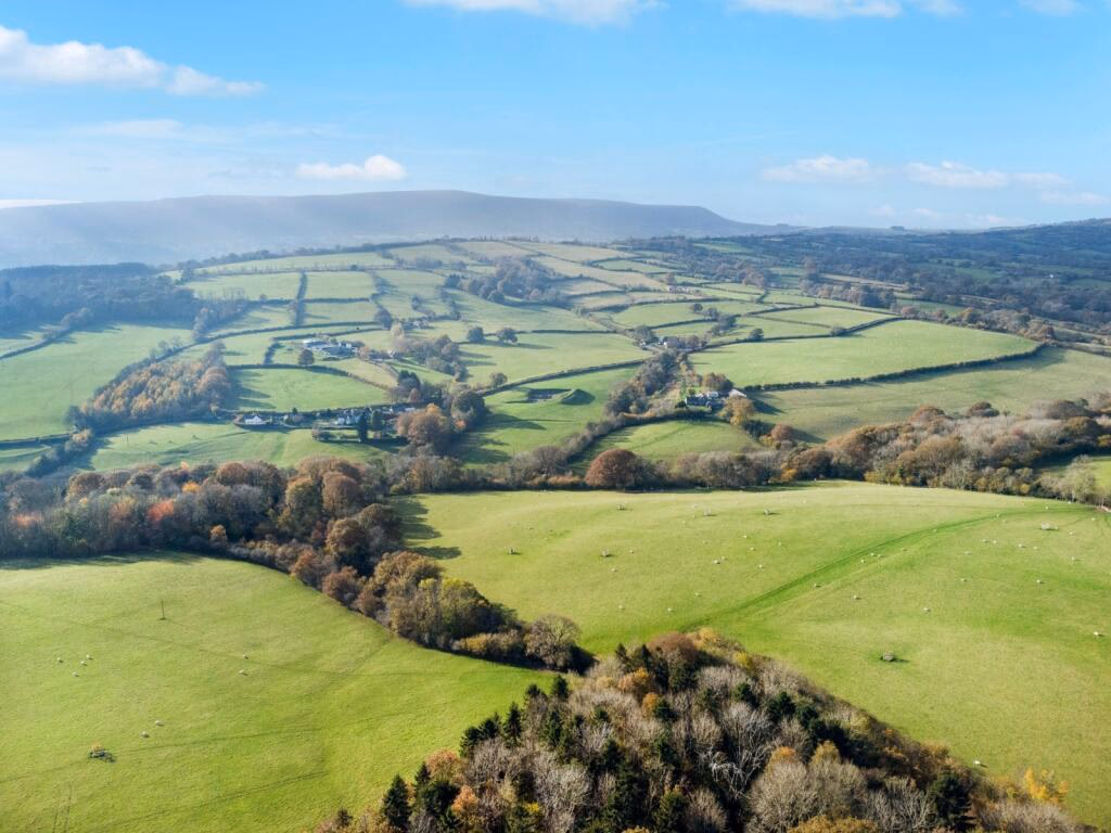 Farm land for sale - Image 4