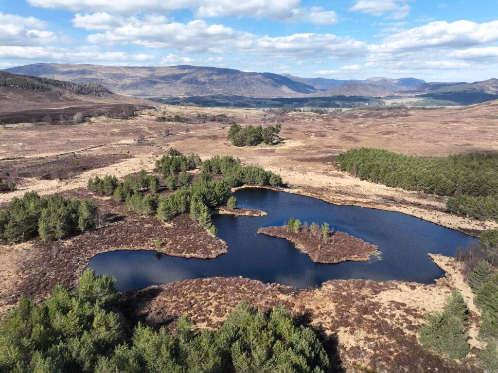 Land for sale - Image 2