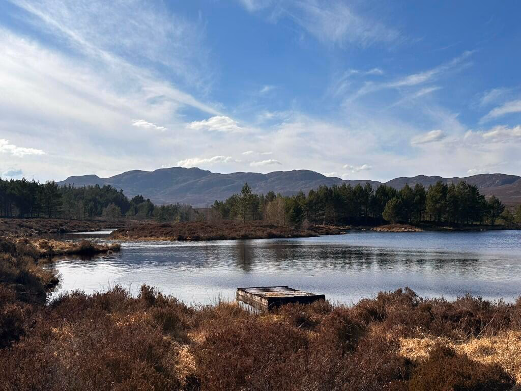 Land for sale - Image 3