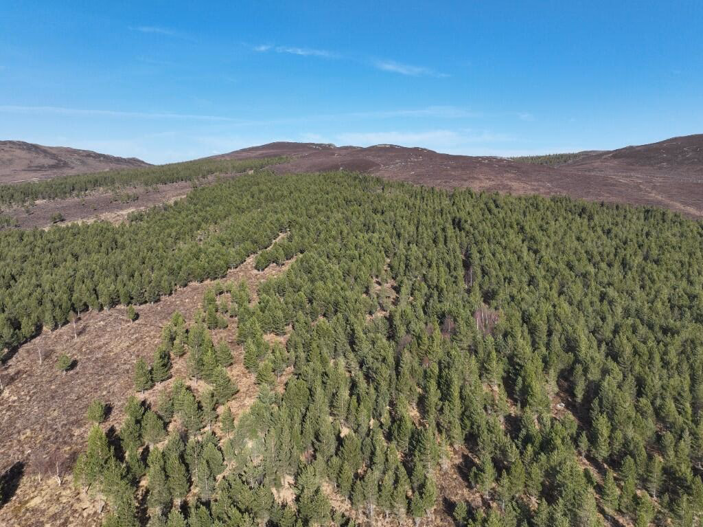Land for sale - Image 5