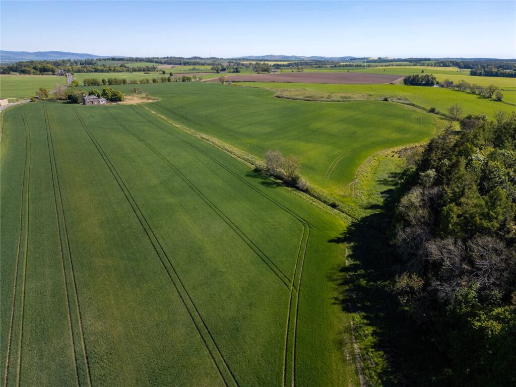 Land for sale - Image 4