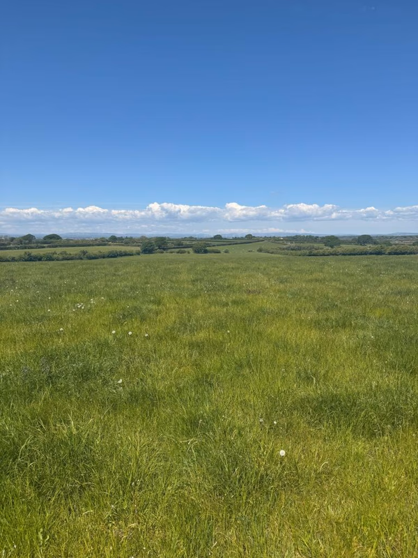 Land for sale - Image 1