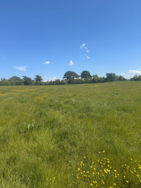 Land for sale - Image 2