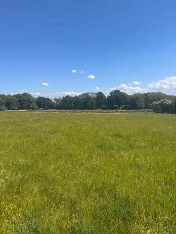 Land for sale - Image 3