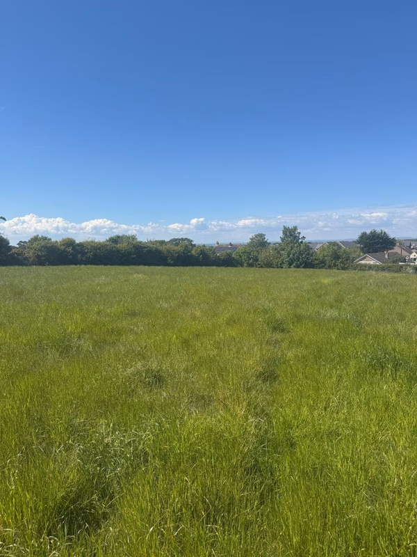 Land for sale - Image 4