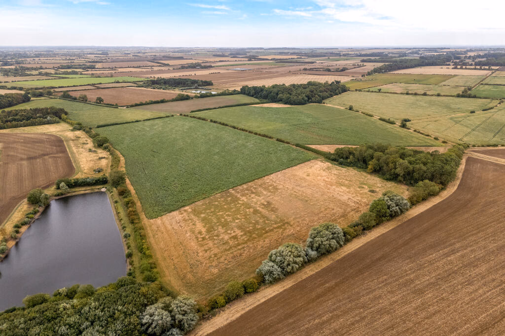 Farm land for sale - Image 4