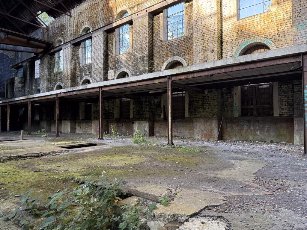 Plot for sale - Image 4