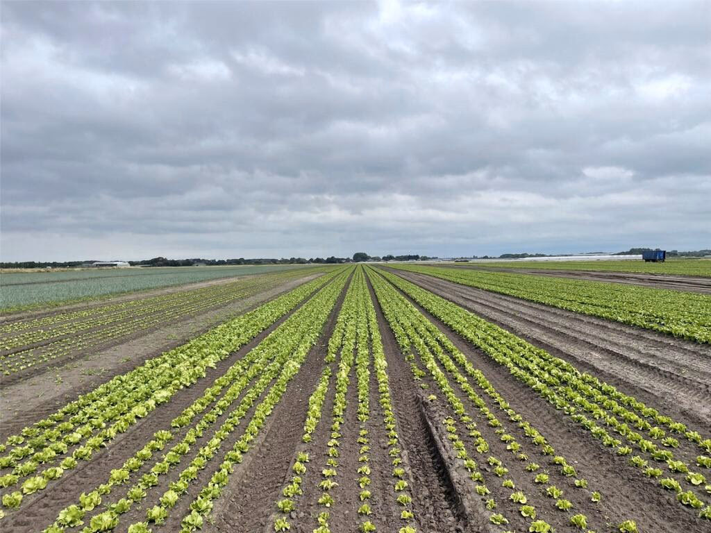 Land for sale - Image 1