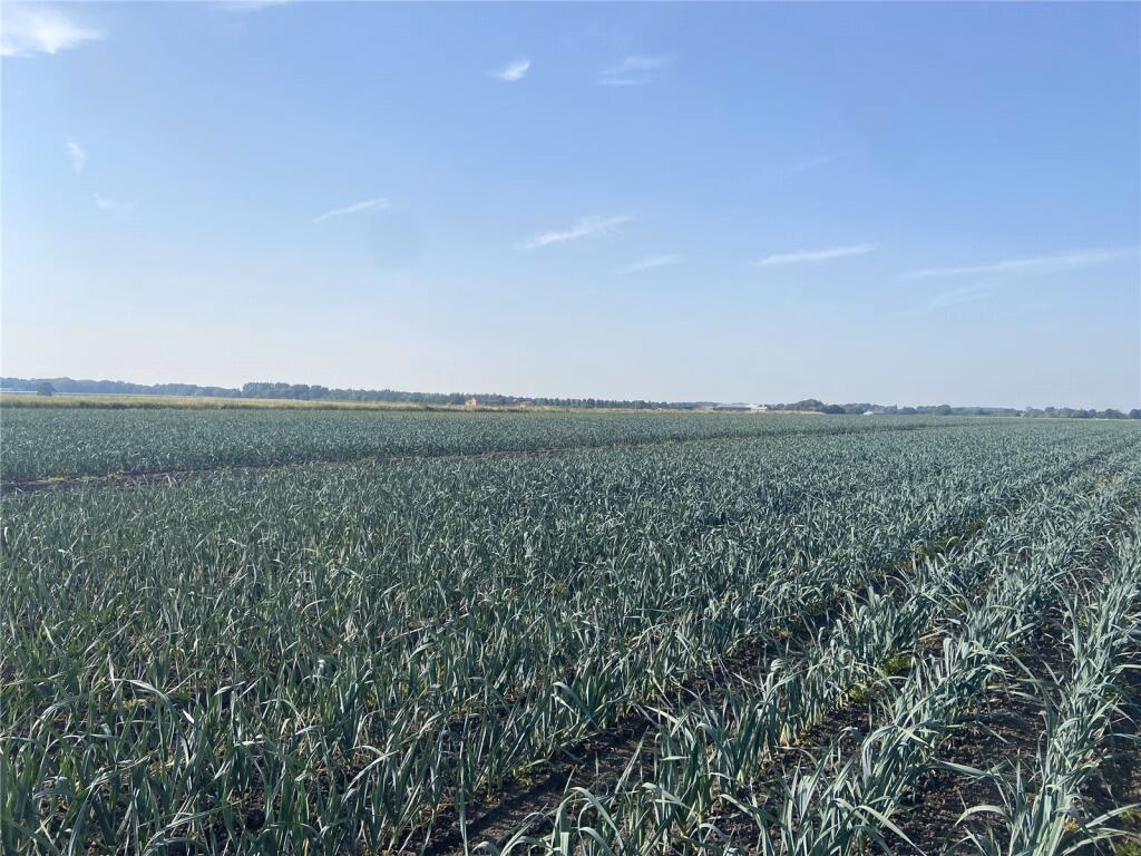 Land for sale - Image 3