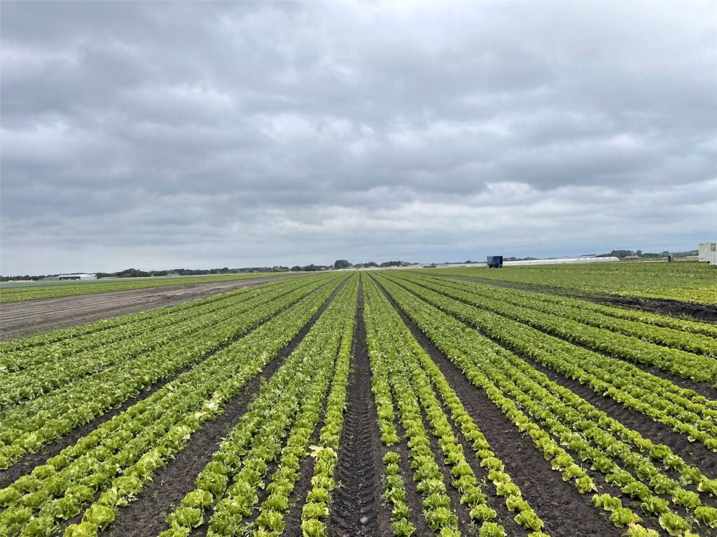 Land for sale - Image 4