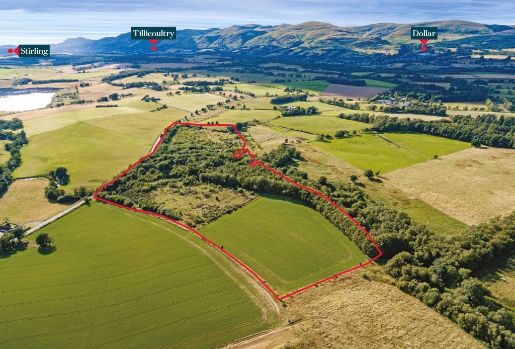 Land for sale - Image 2