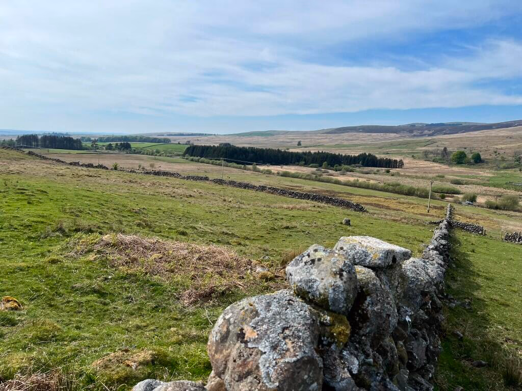 Land for sale - Image 1