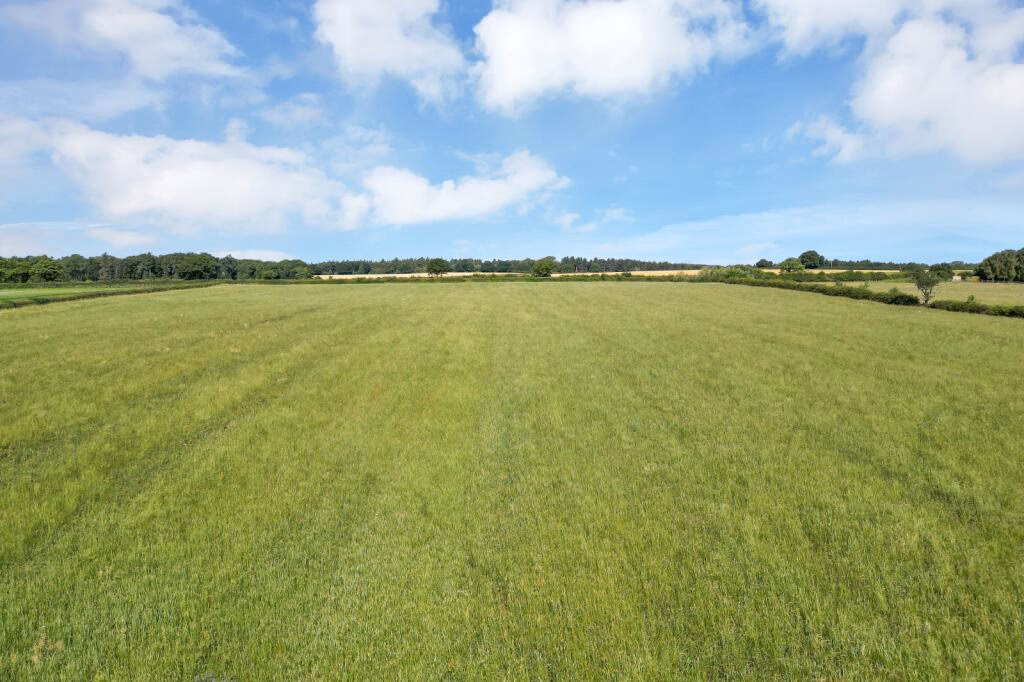 Land for sale - Image 3