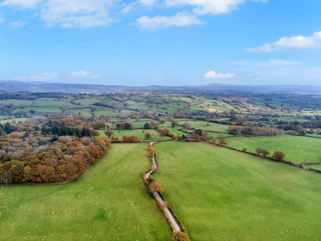 Farm land for sale - Image 4
