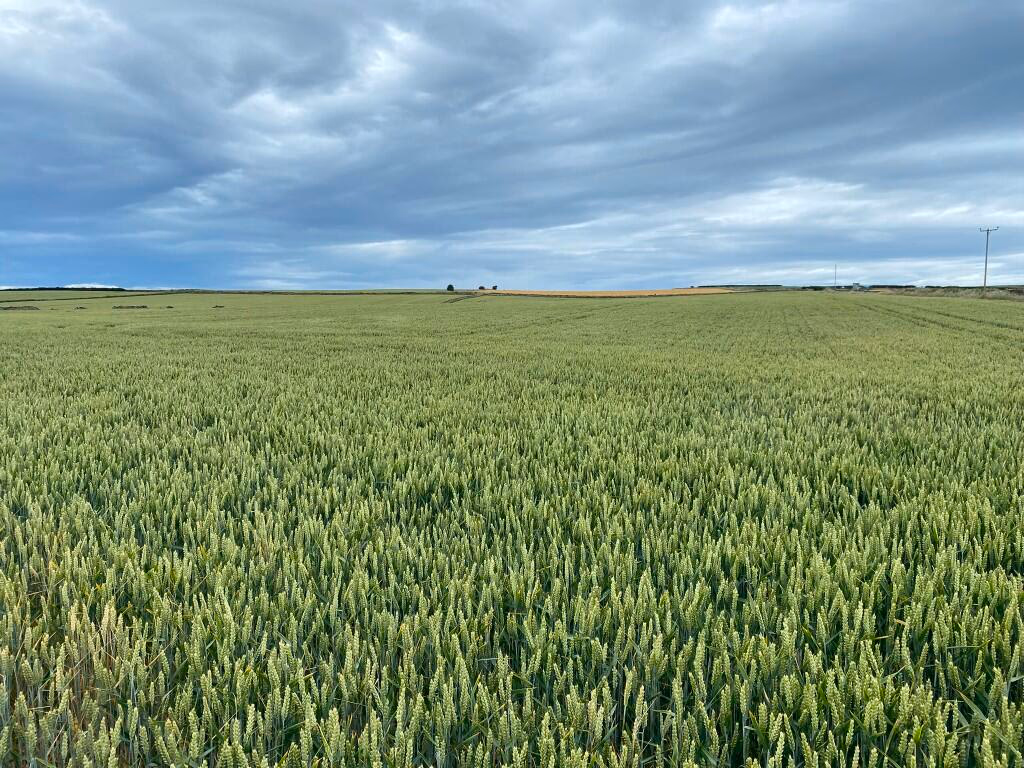 Farm land for sale - Image 1