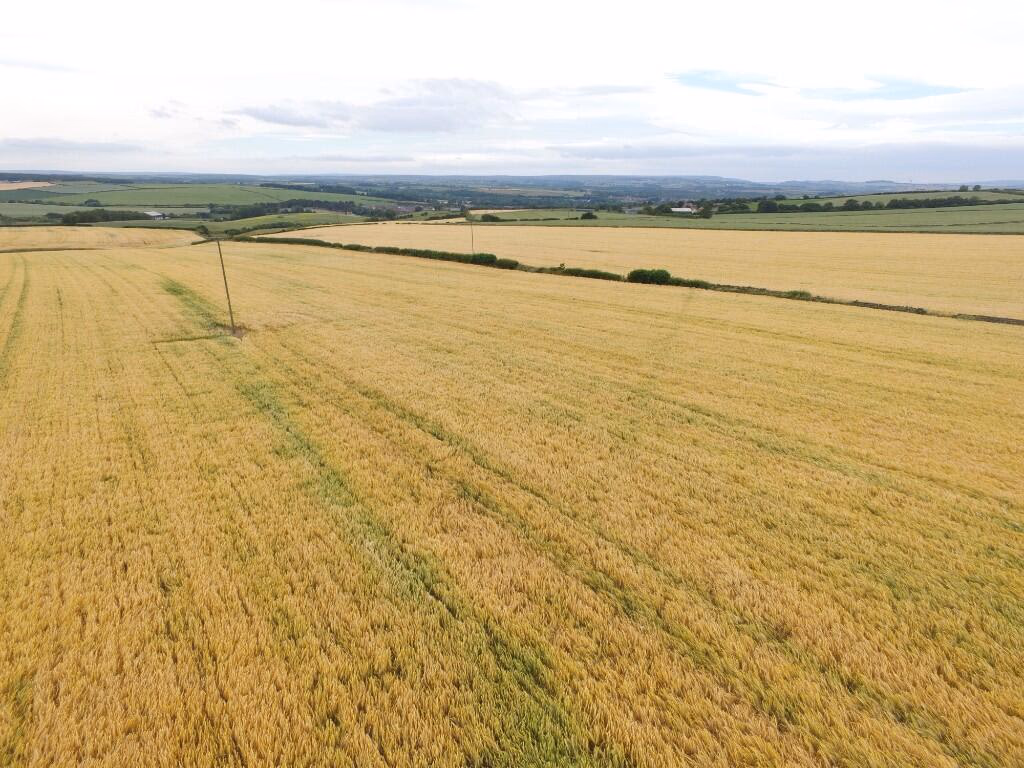 Farm land for sale - Image 5