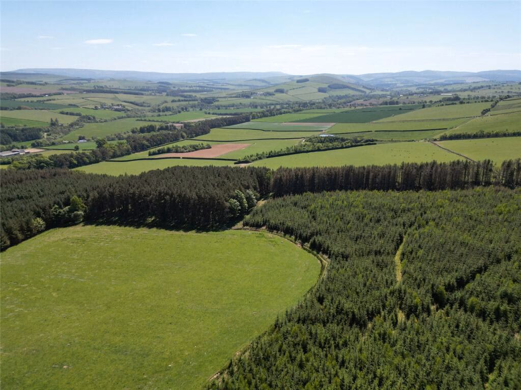 Land for sale - Image 1