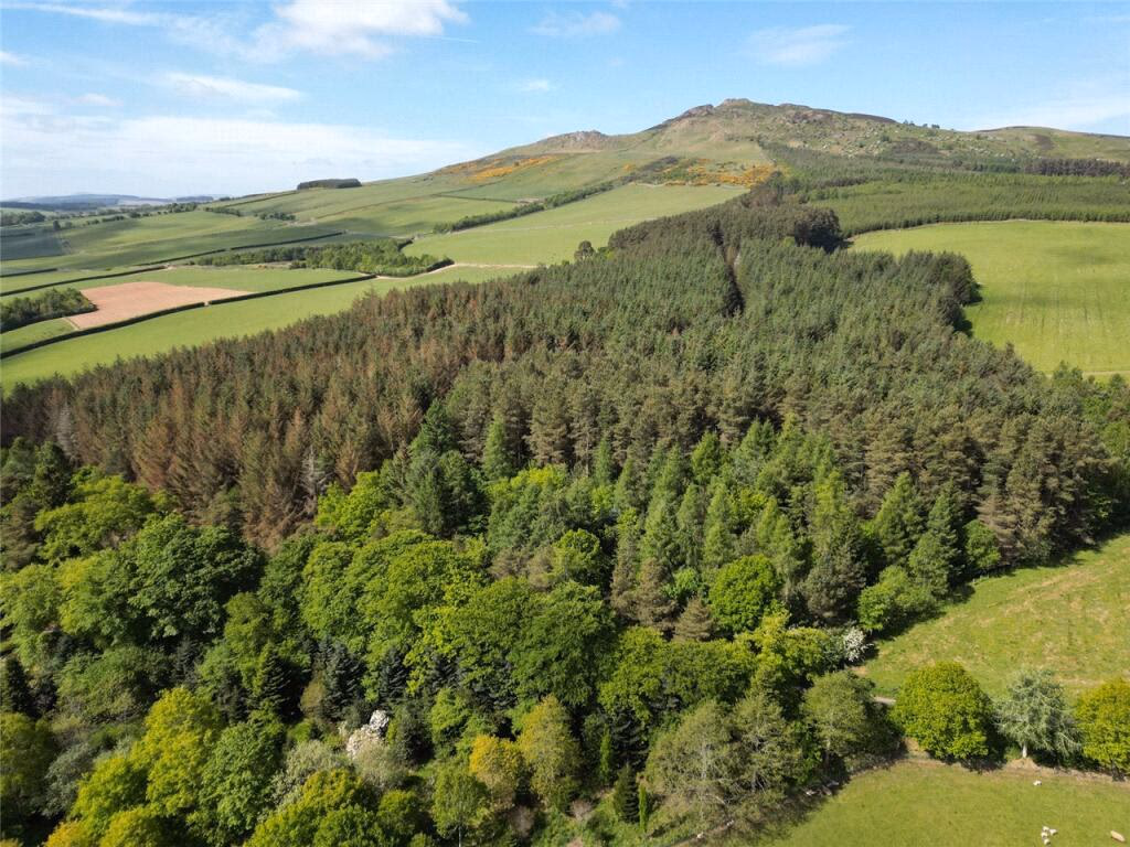 Land for sale - Image 2