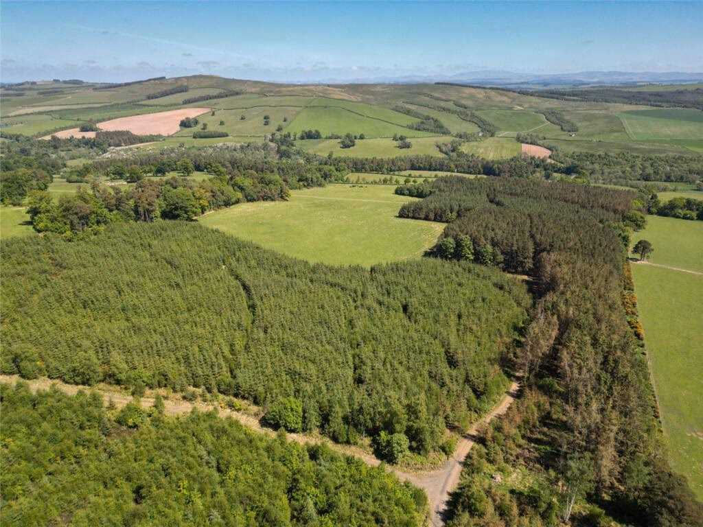 Land for sale - Image 3