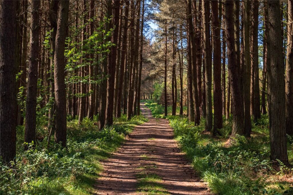 Land for sale - Image 5