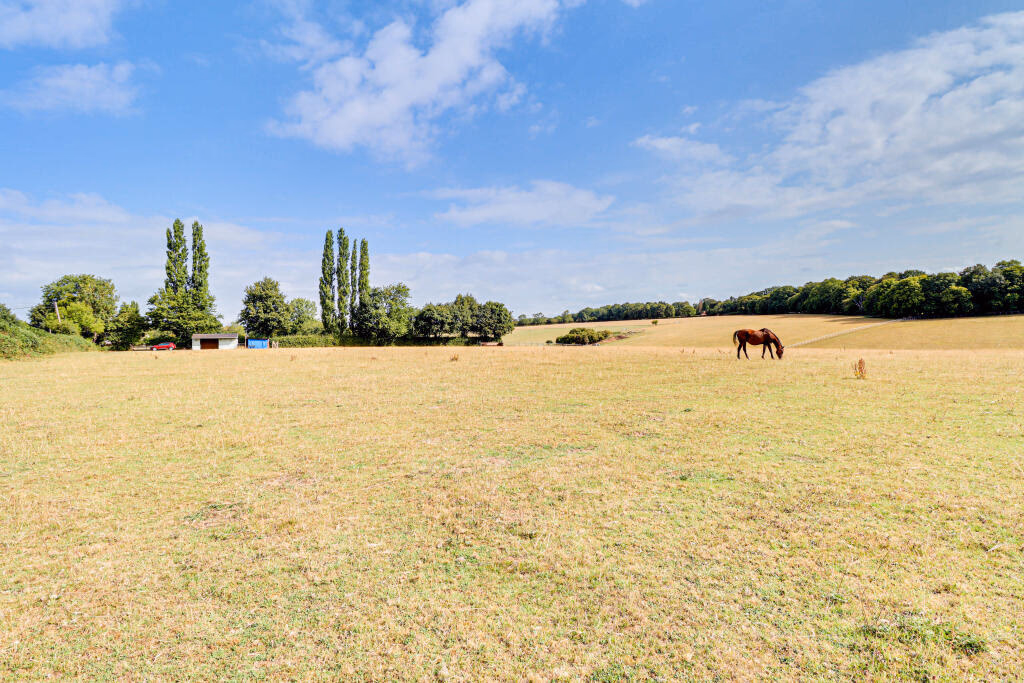 Farm land for sale - Image 5