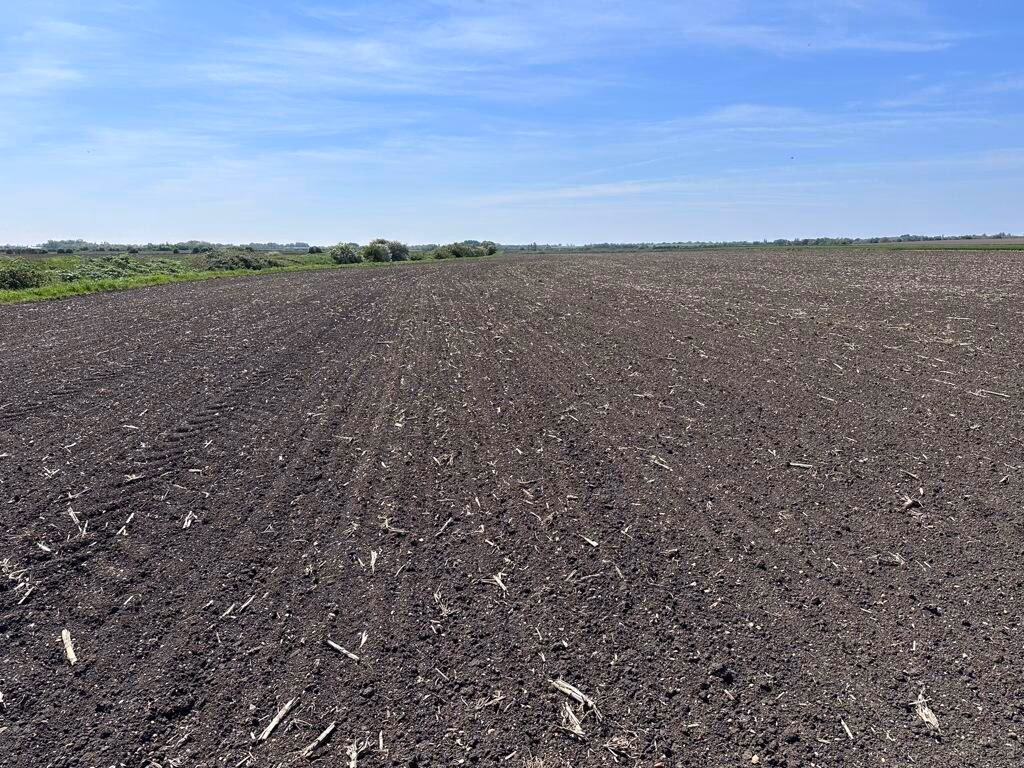 Farm land for sale - Image 3