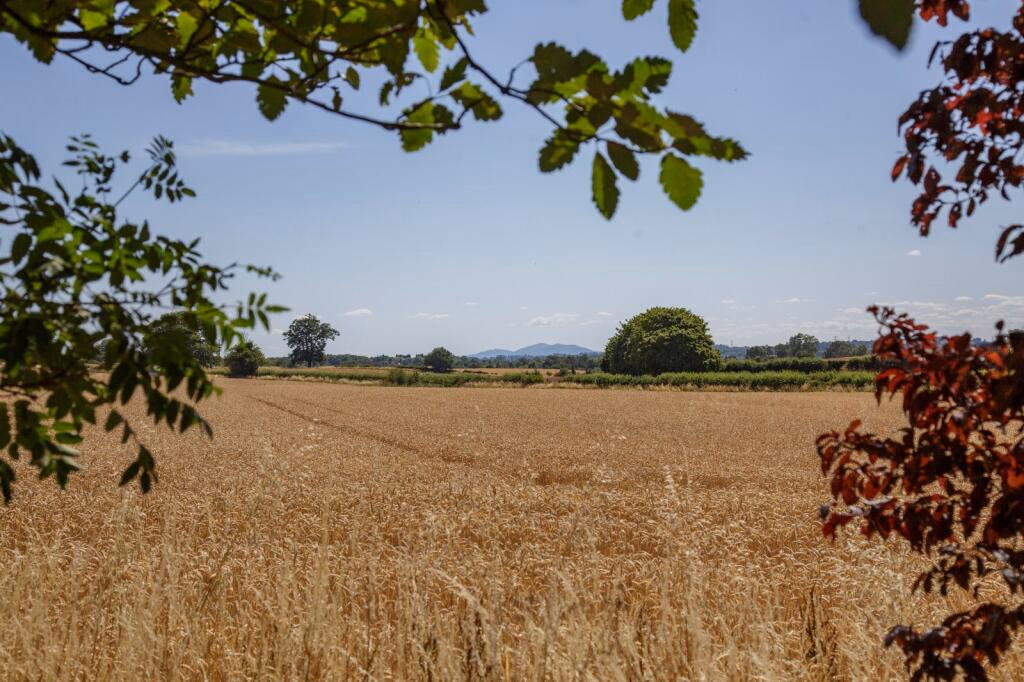 Land for sale - Image 4