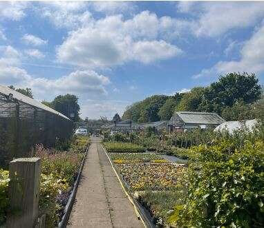 Land for sale - Image 4