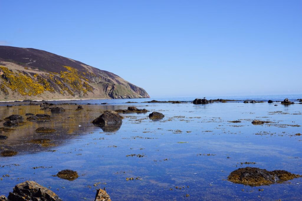 Land for sale - Image 4