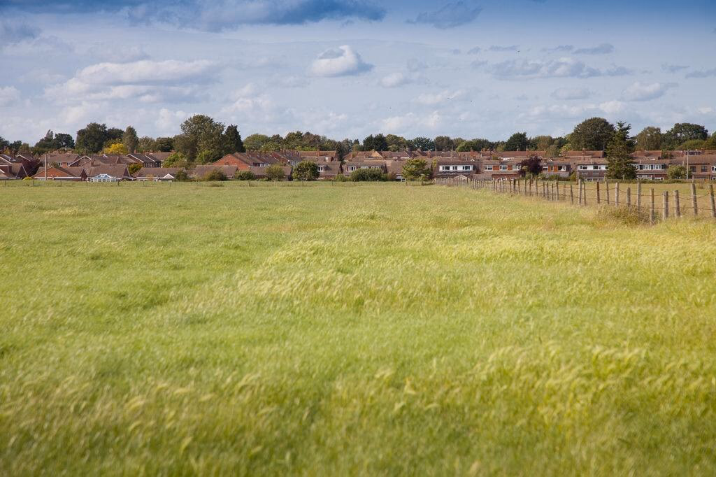 Farm land for sale - Image 3