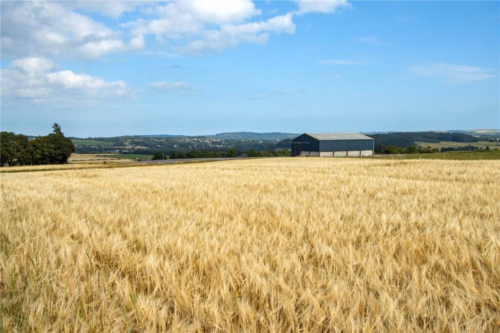 Land for sale - Image 1