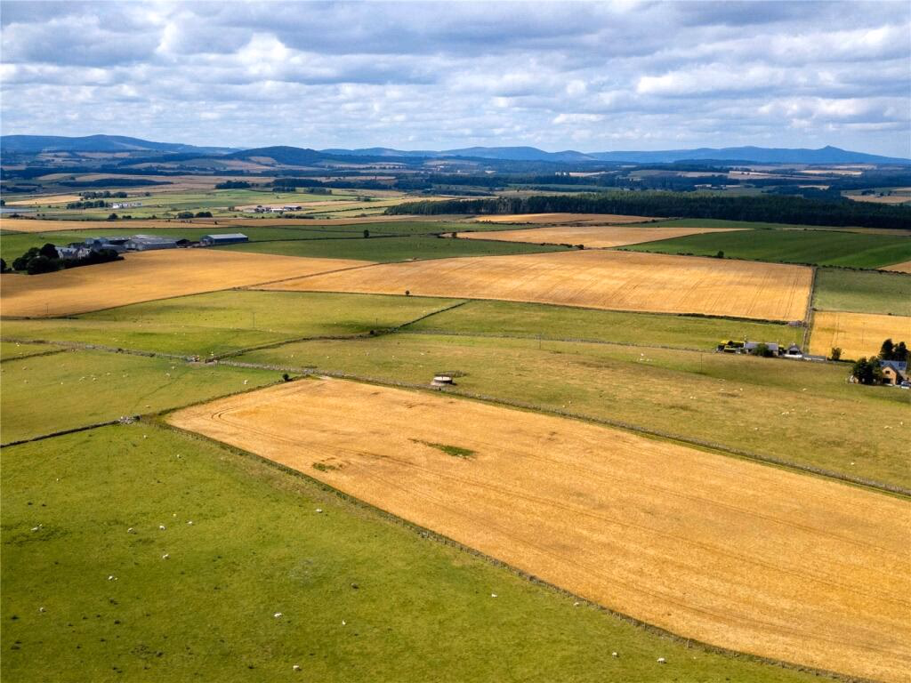 Land for sale - Image 3