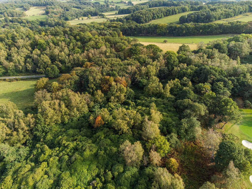 Land for sale - Image 5