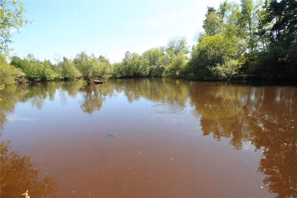 Plot for sale - Image 4