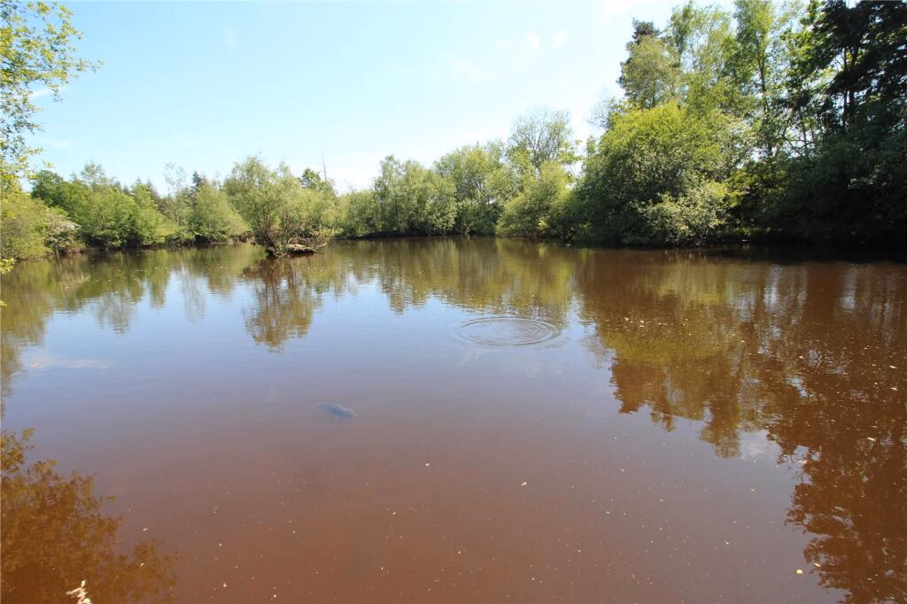 Land for sale - Image 4