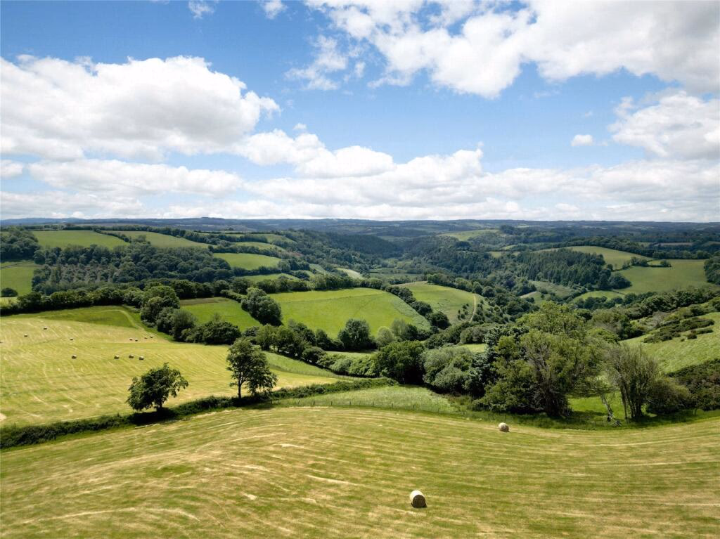 Land for sale - Image 1