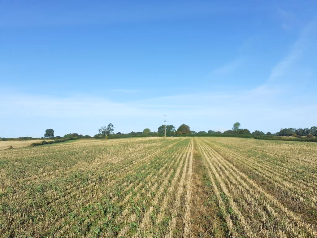 Farm land for sale - Image 3